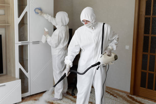 Certified Mold Removal in Vassar, MI